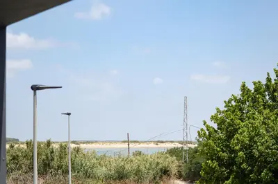 a view of a beach with a street light and trees at Calma Beach Bajo de Guía in Sanlúcar de Barrameda