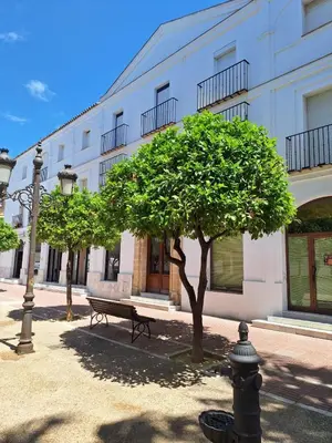 a bench and a tree in front of a building at Cabildo Plaza 1 Sanlúcar de Barrameda in Sanlúcar de Barrameda
