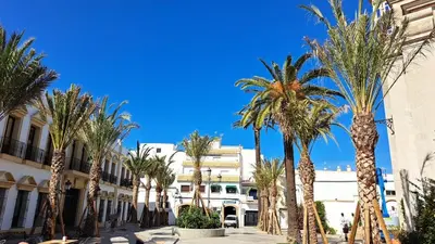 a row of palm trees in front of a building at fantástico apartamento chipiona in Chipiona