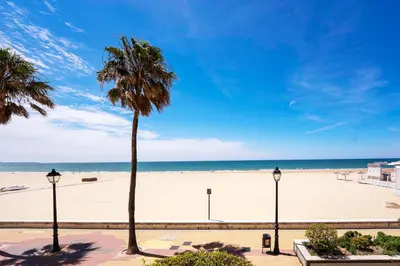 a beach with a palm tree and the ocean at Summerlandrota La Caleta in Rota