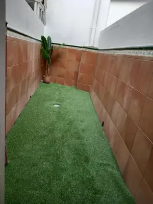 a small room with green grass and a plant at Apartamento Centro Estación, Parking Privado in El Puerto de Santa María