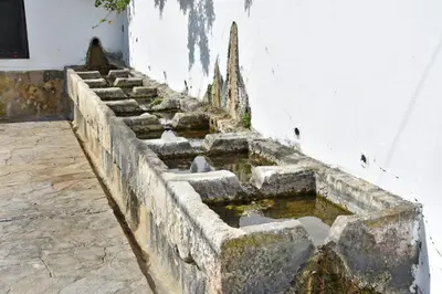 a set of stone steps leading up to a building at Casa Plaza Alta in Alcalá de los Gazules