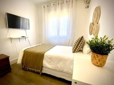 a bedroom with a bed with a television and a potted plant at MyChoice San Francisco in Rota