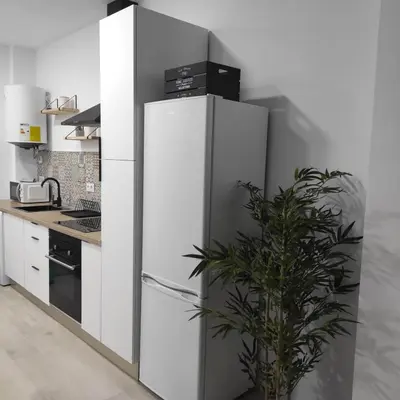 a white refrigerator in a kitchen with a plant at Ohana 2 in San Fernando