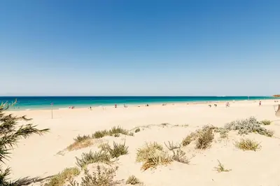 a beach with a lot of people in the water at Fabiana in Chiclana de la Frontera