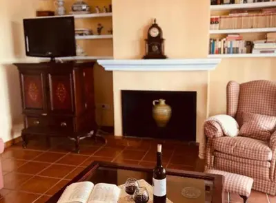 a living room with a fireplace and a bottle of wine at Chalet Puerto Sherry in El Puerto de Santa María