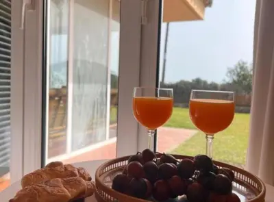 two glasses of wine next to a bowl of fruit and bread at Chalet Puerto Sherry in El Puerto de Santa María
