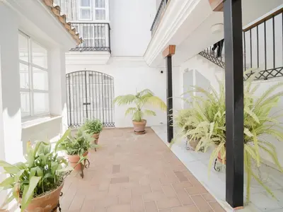an indoor courtyard with potted plants and windows at Sibs Sanlucar Altamar Nuevo Centrico Tranquilo in Sanlúcar de Barrameda