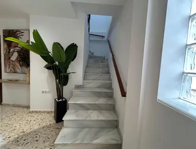 a staircase with a potted plant in a room at Casa Mariquilla in Sanlúcar de Barrameda