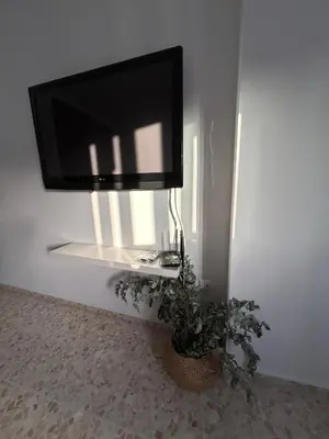a flat screen tv on a wall with a potted plant at Casa Mariquilla in Sanlúcar de Barrameda