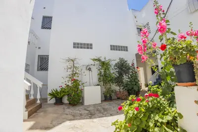a courtyard with potted plants and flowers at GuestReady - Calvario Rota 30 JC in Rota