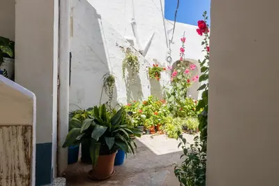 a bunch of potted plants in a room at GuestReady - Calvario Rota 30 JC in Rota