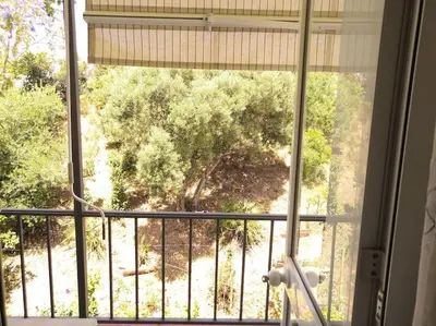 a window with a view of a tree at Acogedor Apartamento Entero in Arcos de la Frontera