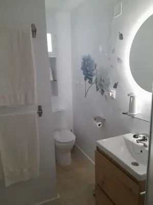 a bathroom with a toilet and a sink and a mirror at Acogedor Apartamento Entero in Arcos de la Frontera