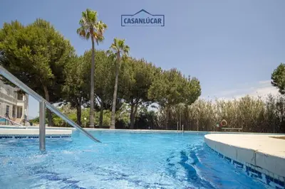 a swimming pool with blue water and palm trees at Apartamento los jardines in Sanlúcar de Barrameda