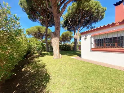 a tree in the yard of a house at Chalet Roche a 300 metros de la playa in Roche