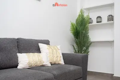 a gray couch with a plant in a living room at El Anfitrión - Argüeso 8 in Sanlúcar de Barrameda