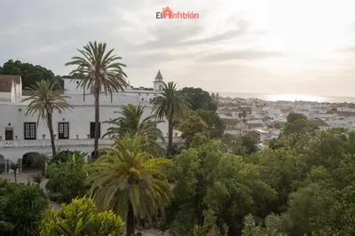 a view of a city with palm trees at El Anfitrión - Mirador en casco antiguo con parking in Sanlúcar de Barrameda