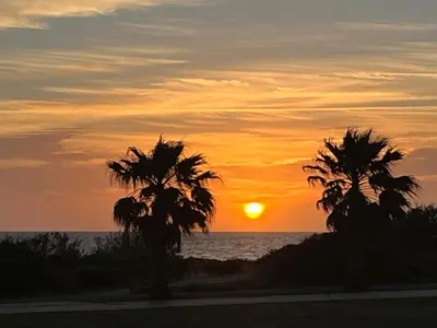 two palm trees on the beach at sunset at Costa Ballena & Eleven Lights in Chipiona