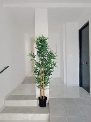 a plant in a black pot in a hallway at Apartamento Gloria Bendita in Jerez de la Frontera