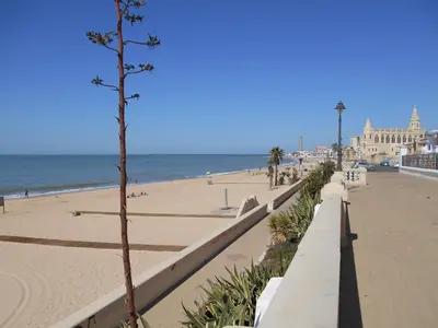a view of a beach with a palm tree on a sidewalk at Apartamento Caracola in Chipiona