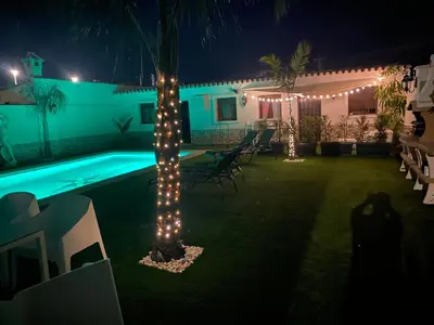 a palm tree with lights around a pool at night at Musa del Paraíso in Novo Sancti Petri