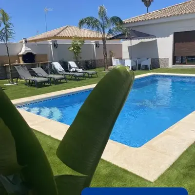Musa del Paraíso
