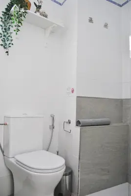 a bathroom with a toilet and a plant on the wall at Apartamento con encanto en el corazón de la ciudad in Jerez de la Frontera