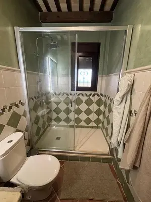 a bathroom with a toilet and a glass shower at Villa Los abuelos in Hozanejos