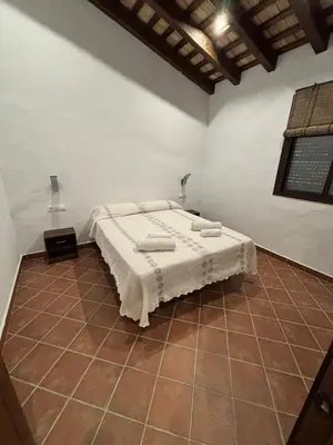 a bedroom with a bed in the corner of a room at Villa Los abuelos in Hozanejos