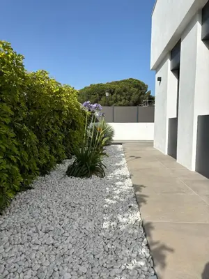 a stone walkway with a plant in front of a building at Poniente Beach House in Chiclana de la Frontera