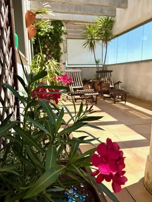 a patio with a plant and flowers on a building at GATU Ático Divino 
