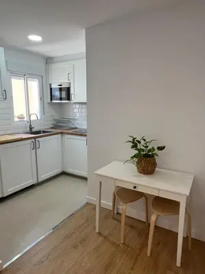 a kitchen with a table and a potted plant on it at Apartamento Chiclana de la frontera in Chiclana de la Frontera