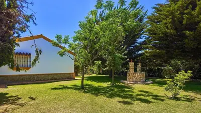a yard with some trees and a building at Villa Alegría Conil de la Frontera by Ruralidays in Conil de la Frontera