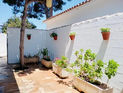 a white wall with potted plants on it at Entre Pinos in Chiclana de la Frontera