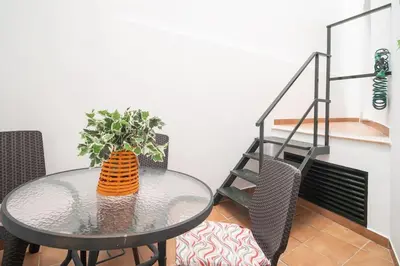 a glass table with a potted plant on top of it at Apartamento Rosole in Sanlúcar de Barrameda