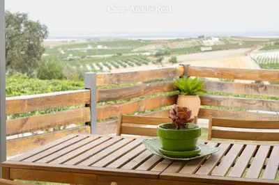 a table with a plant in a green pot on a balcony at Casa Rural Mirador del Guadalquivir-Refugio con Piscina y Chimenea in Trebujena