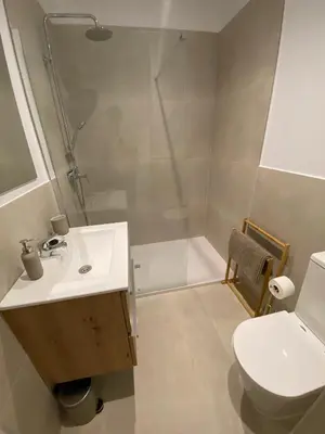 a bathroom with a sink and a shower and a toilet at Apartamentos a estrenar de dos dormitorios in San Fernando