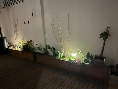 a room with plants and lights on a wall at Mi Teja in Chiclana de la Frontera