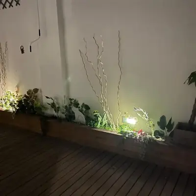 Mi Teja