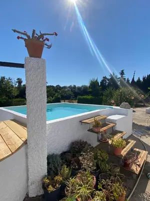 a pool with potted plants next to a white wall at Campito cerca del mar 
