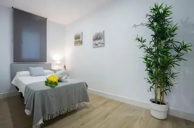 a bedroom with a bed and a potted plant at Plaza Caballo 3 Dormitorios Vistas in Jerez de la Frontera