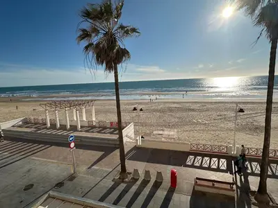 a beach with a bench and a palm tree and the ocean at Mirando al Mar con Wifi y Terraza 1ª línea playa in Cádiz