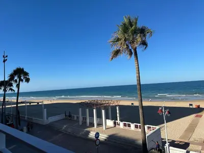 a beach with a palm tree and the ocean at Mirando al Mar con Wifi y Terraza 1ª línea playa in Cádiz