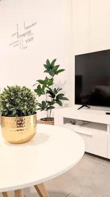 a potted plant sitting on a table in a living room at Rincón del Atlántico in Rota