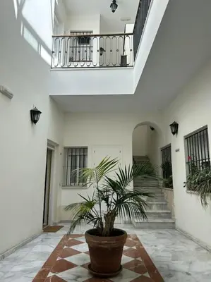 a potted plant in the middle of a hallway at Apartamento en el centro histórico in El Puerto de Santa María