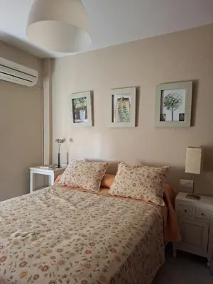 a bedroom with a bed and two pillows at Apartamento céntrico con garaje opcional in Sanlúcar de Barrameda