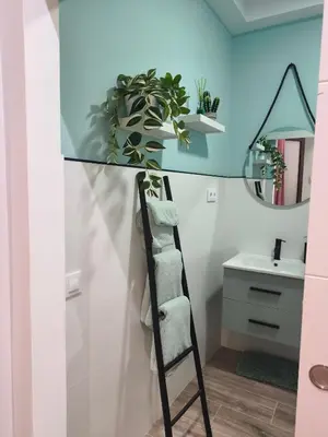 a bathroom with a glass shelf with a plant at Casa Cervera in San Fernando