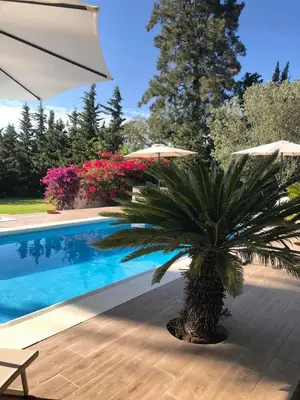a palm tree next to a swimming pool with umbrellas at Abajo Stijlvol appartement met zwembad en tuin in Cádiz