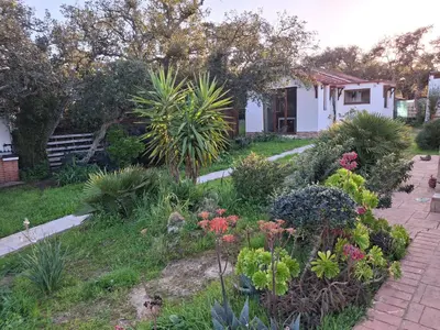 a garden with flowers and plants in front of a house at Casa Yuxiao rincón de tranquilidad in Cádiz
